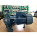 dual impellers 2MCP25/140 1.5hp Cast Iron Centrifugal electric Water Pump